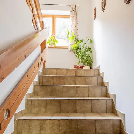 Ronacher Apartment